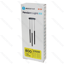 LED pendant lamp 3*3W 2700K