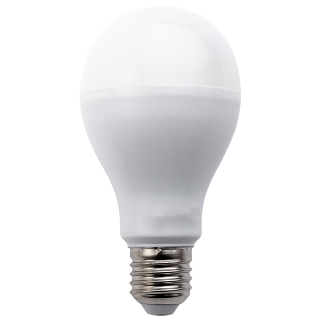 [B10105MOG] LED Bulbs A67 E27,20W 3000K