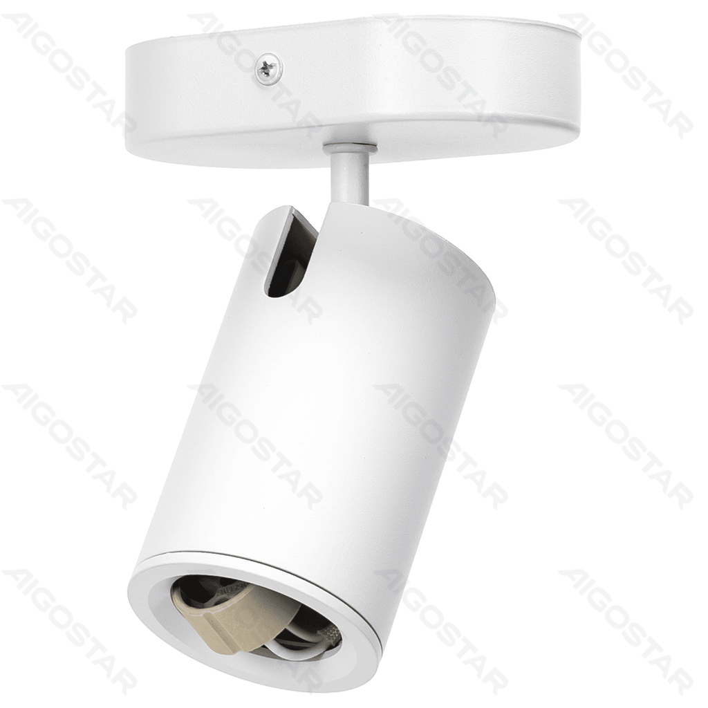 [B10307QD6] Metalen spot met verstelbare hoek en 1 schakelaar