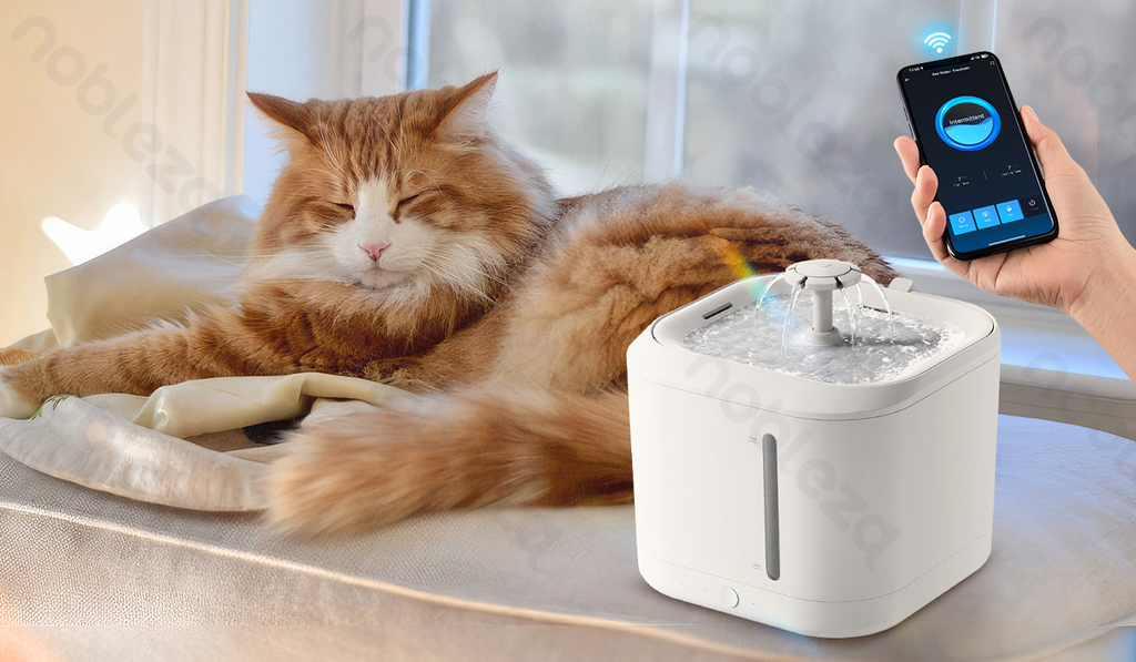 [S40101N34] WB Smart distributeur d'eau automatique 2.5L L17.9*L17.9*H18.7cm Blanc SW01