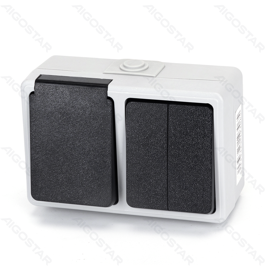 [B20101NJB] Interrupteur double allemand en saillie 2 points lumineux et prise de courant gris