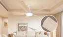 Ceiling Fan with Light, 52 Inches, 5 Blades, 6 Speeds, White