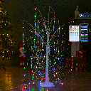 Bluetooth Laagspanning Wilgenboom RGBIC 1,8m