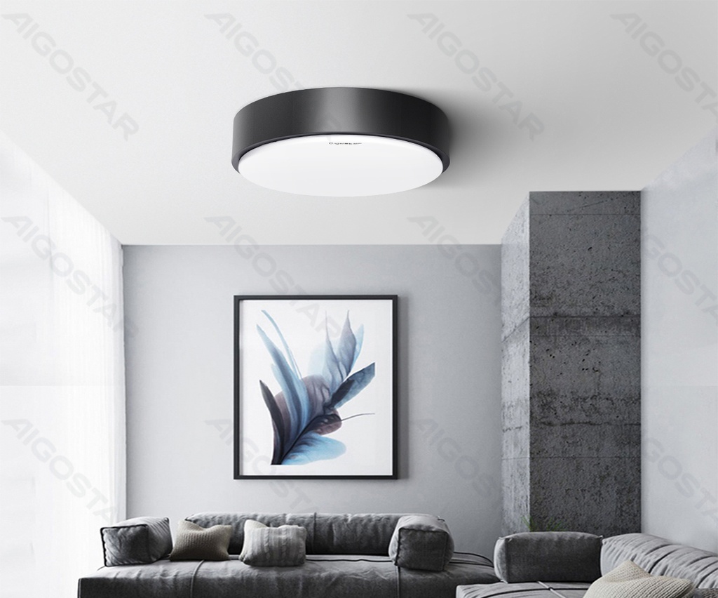 LED Plafondlamp 24W 3000K