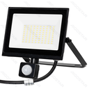 LED Flood Light with Glass Shade, Black, 50W, 6500K, Sensor