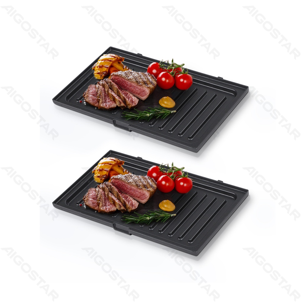 [300002XTI] 1 set grillplaten