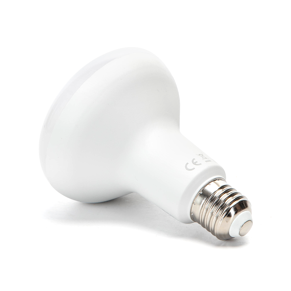 [B10105KHQ] LED Bulbs R90 E27,15W 6500K