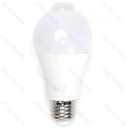 LED A60 E27,6W met Infrarood Sensor