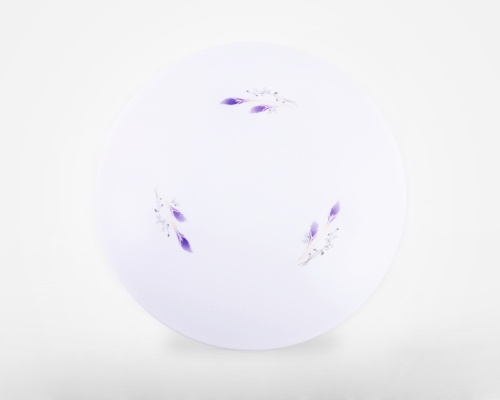 [A177553] Plafonnier LED 16,12 W 6000 K