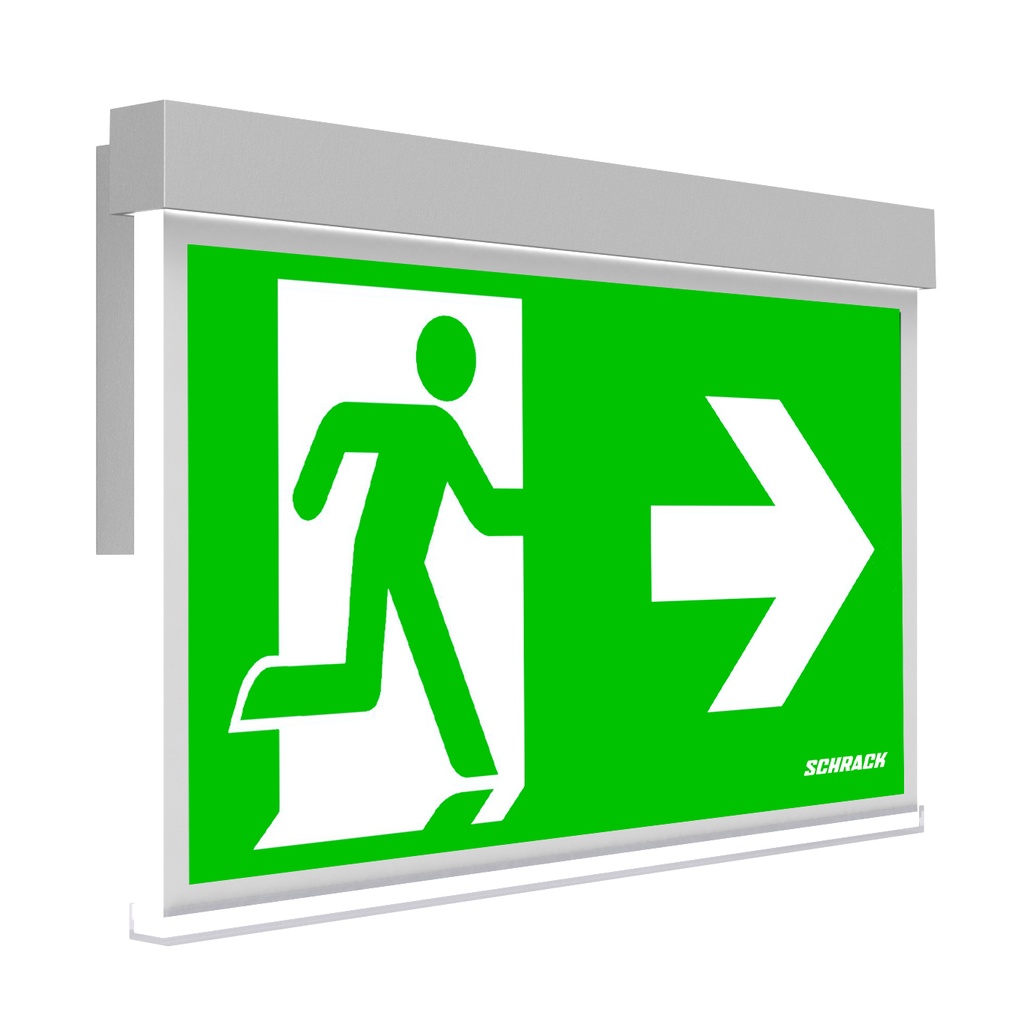 [NLAMWW403S] Self-contained luminaire AM LED 3h 230V AC wall surface