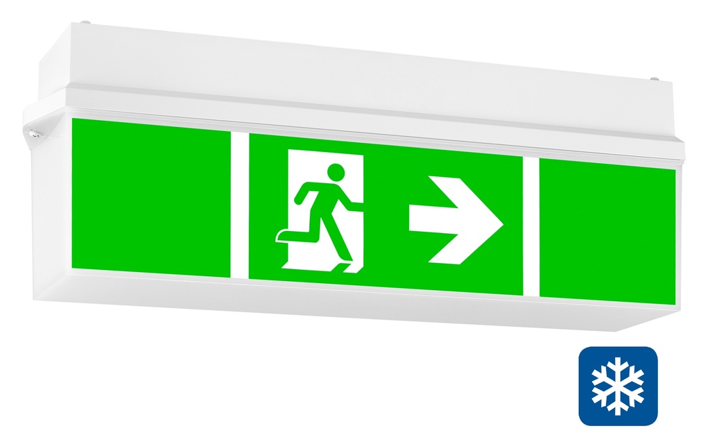[NLKWIDT33S] KWI Noodverlichting autotest 4x1W ERTLED 3h plafond TT