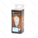 Aigostar Dimbare LED-gloeidraad ST64 E27 6W 6500K