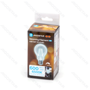 Aigostar Dimbare LED-gloeidraad A60 E27 6W 6500K