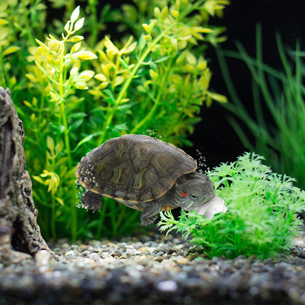 [B40501OU6] Nobleza Calcium pour tortues