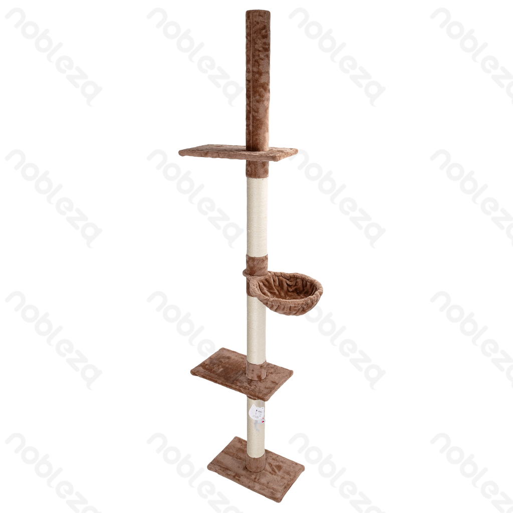 Structure d'escalade Nobleza Kattentoren