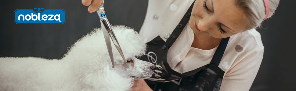 [B40706B73] Nobleza Pet Grooming Scissors Set