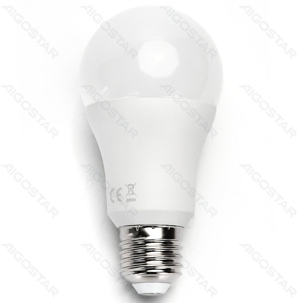 [B10105QNP] LED A60 E27 17W 6500k