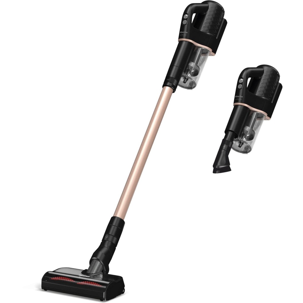 Steelstofzuiger Duoflex HX1 TotalCare 2in1, zwart/rosé, SpeedLock, +accessoires