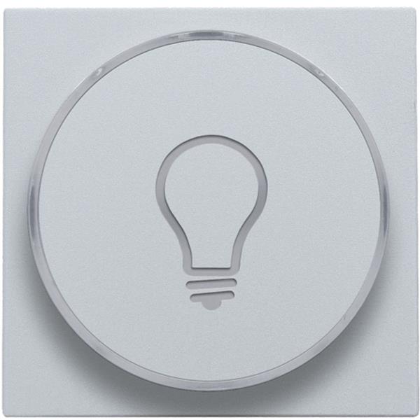 NIKO - Toets met lampsymbool voor drukknop 6a, e10-lampvoet, sterling - 121-64008