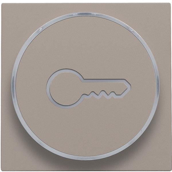 NIKO - Toets met sleutelsymbool voor drukknop 6a, e10-lampvoet, brons - 123-64009