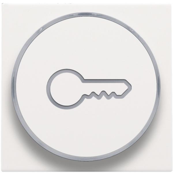 NIKO - Toets met sleutelsymbool voor drukknop 6a, e10-lampvoet, wit staal - 154-64009