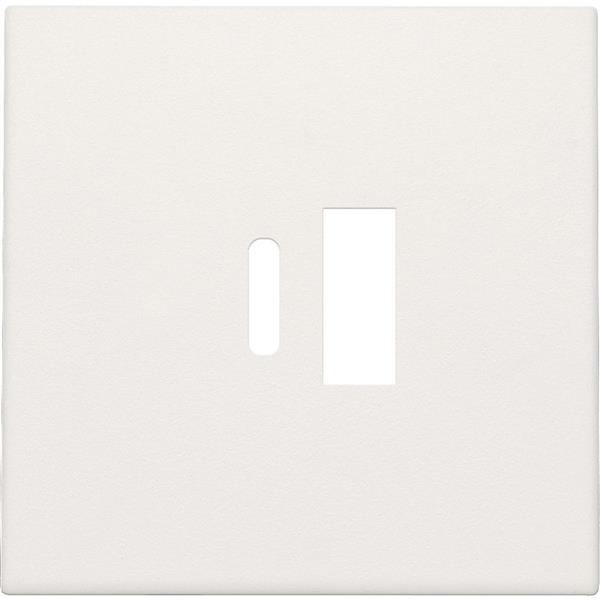 NIKO - Centraalplaat dubbele smart usb-a en usb-c-lader, wit - 101-68002