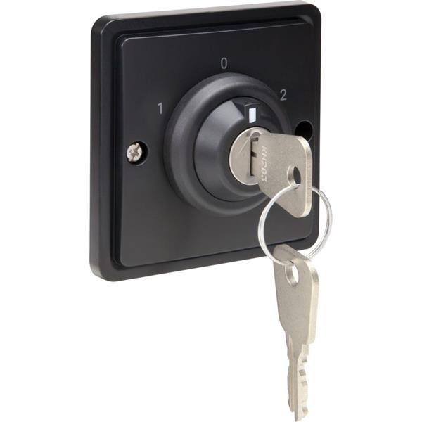NIKO - Hydro spuitwaterdichte sleutelschakelaar met schroefklemmen, zwart - 761-38800