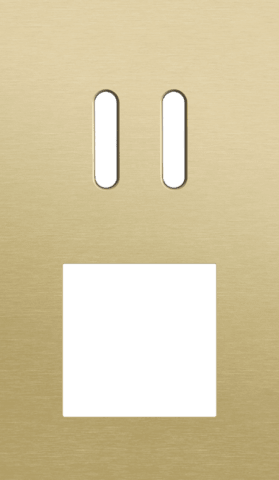 NIKO - 2-Voudige afdekplaat v60 vr tweev schak + fct, rocker, alu goud - 227-56256