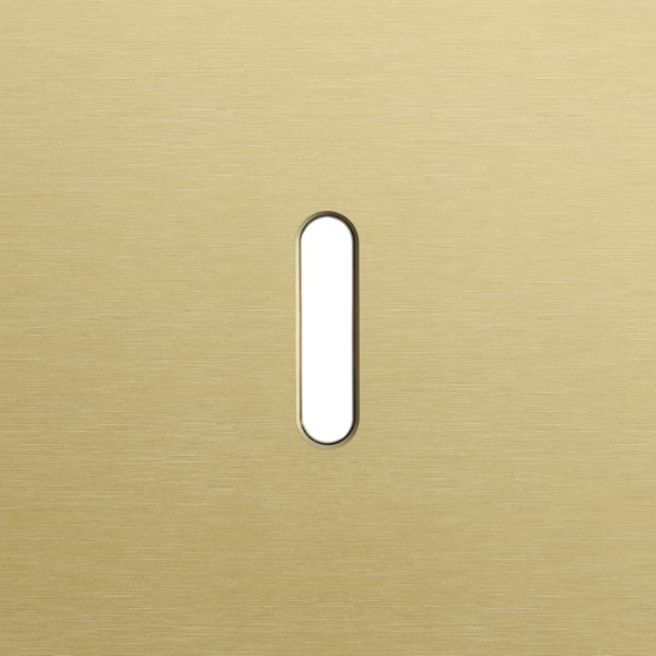 NIKO - Enkelvoudige afdekplaat, vr 1 functie, Niko Home Control, Rocker, alu gold - 227-46101