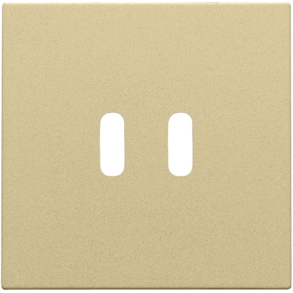 NIKO - afwerkingsset voor dubbele smart usb-c-lader - 221-68003