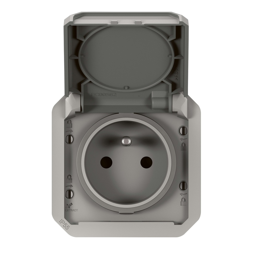 Plexo contactdoos 2P+A steekklem mecha IP55 IK08 grij