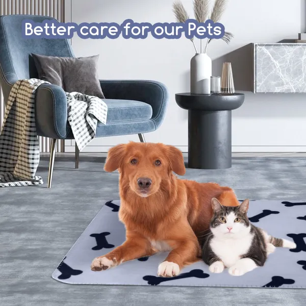 Huisdieren & Dierenbenodigdheden