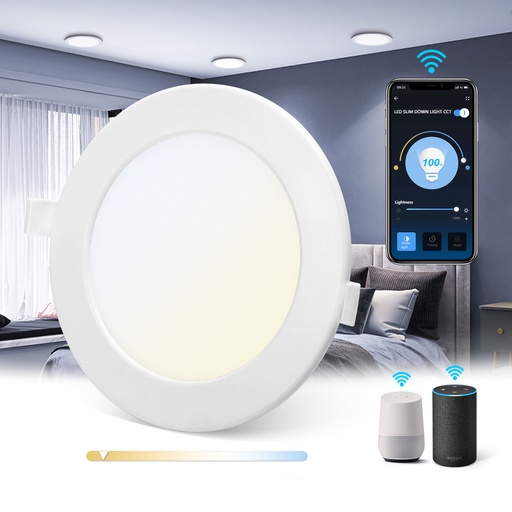 [A202149] Smart Down light