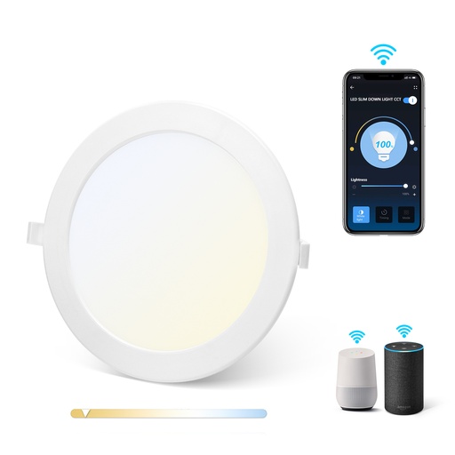 [A202156] Smart Down Light