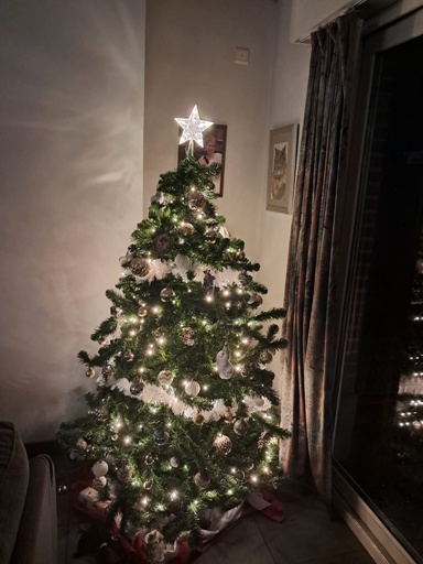 [A365868] Piek kerstmis ster 17 cm Lichtsnoer met 3AA-batterij(Koel wit)